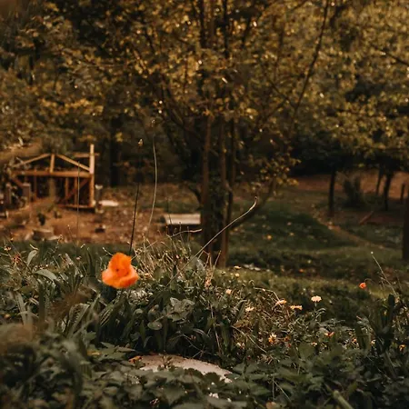 Skarpa * Srebrna Góra