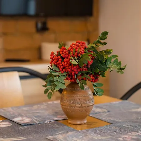 Apartament Skarpa Srebrna Góra