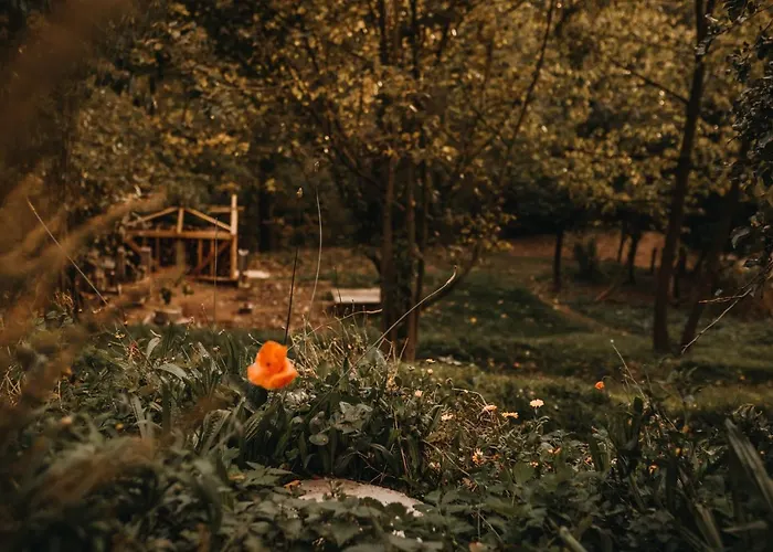 Skarpa * Srebrna Gora