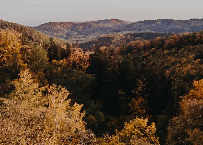 Skarpa Apartment Srebrna Góra